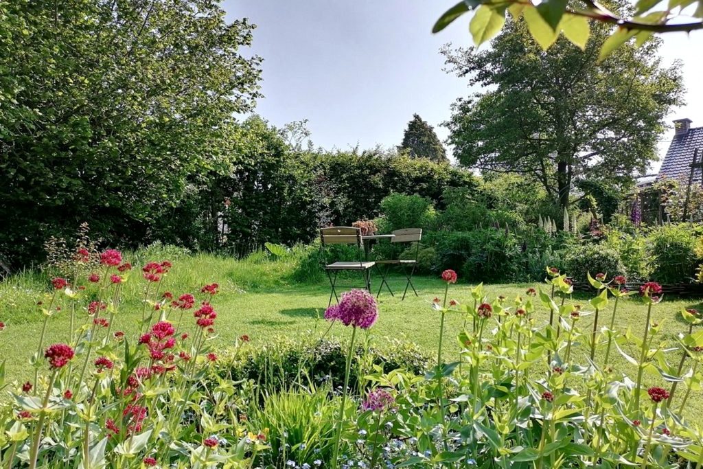Jardin-refuge fleuri : valérianes rouges et alliums, accueillant pour les pollinisateurs