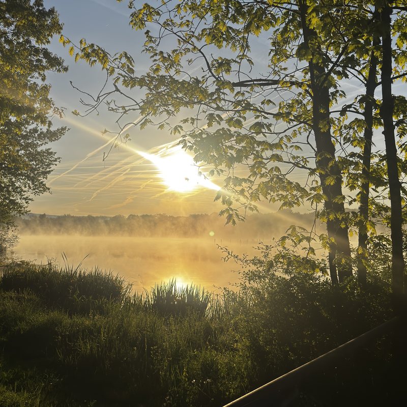 Lever de soleil brumeux sur l'étang