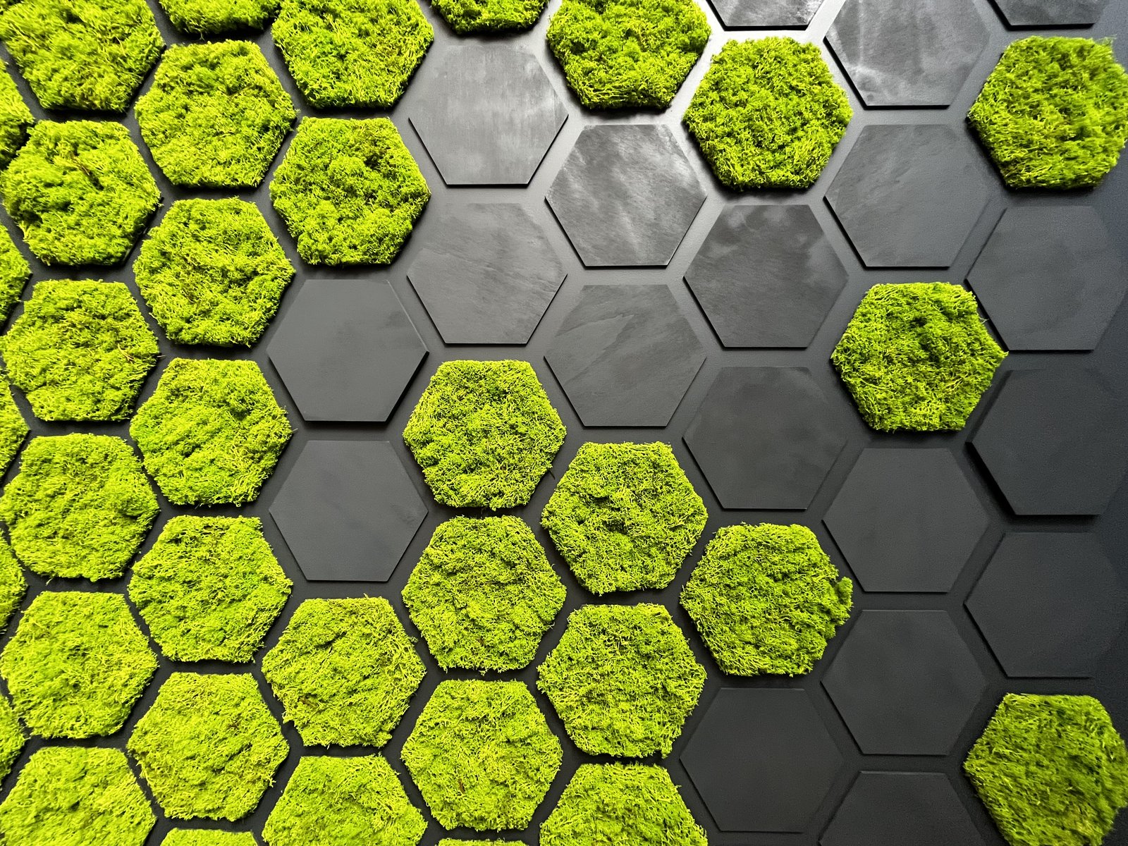 Mur végétal stabilisé hexagonal — mousse préservée sur panneaux ardoise, réalisation Pépinières Mainaud