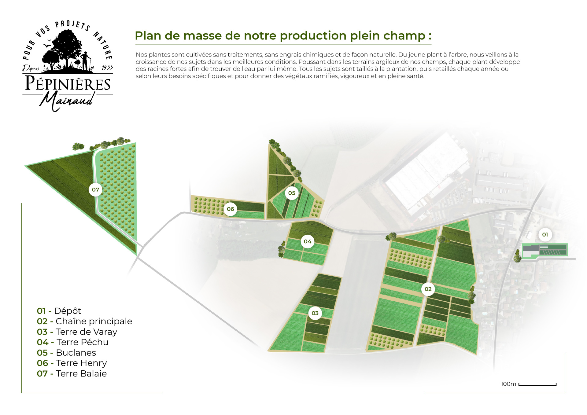 Une photo des plantes en pleines-terres